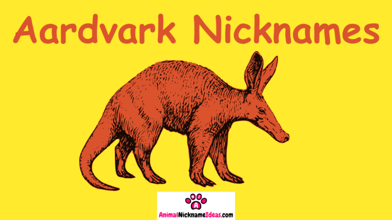 Read more about the article 286 Aardvark Nicknames