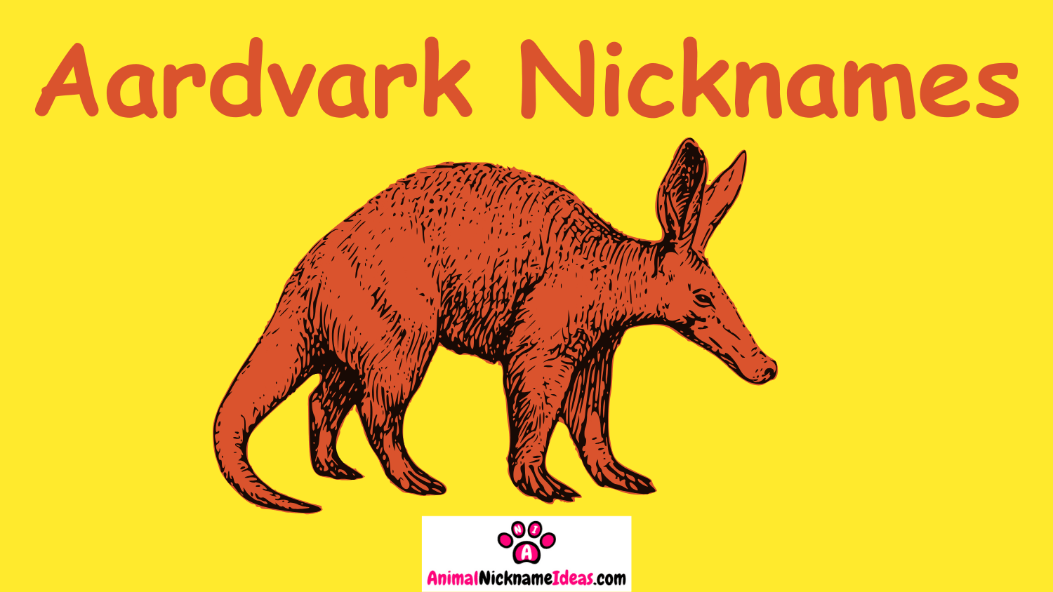 Read more about the article 286 Aardvark Nicknames
