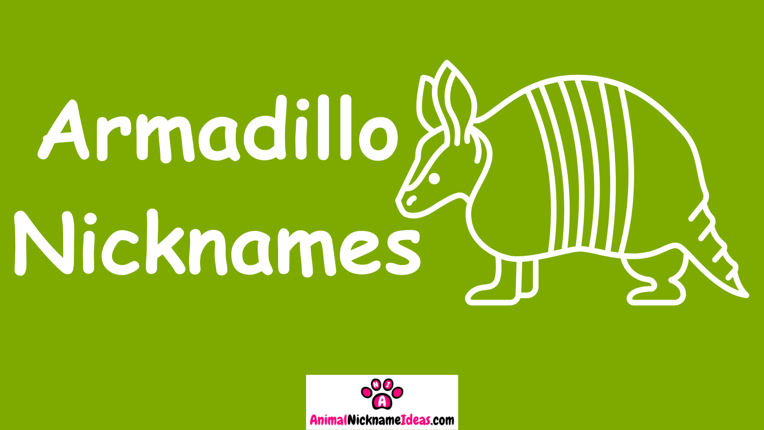 Read more about the article 592 Armadillo Nicknames