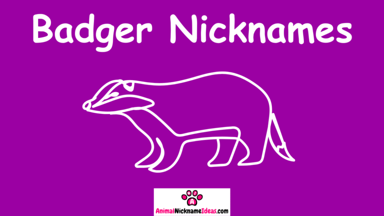 Read more about the article 532 Badger Nicknames