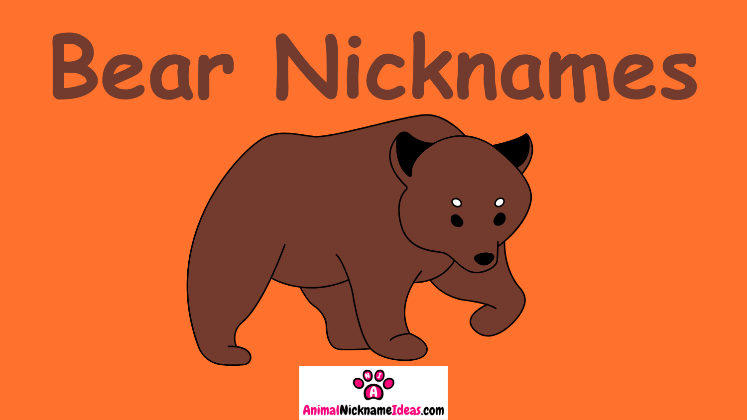 Read more about the article 464 Bear Nicknames