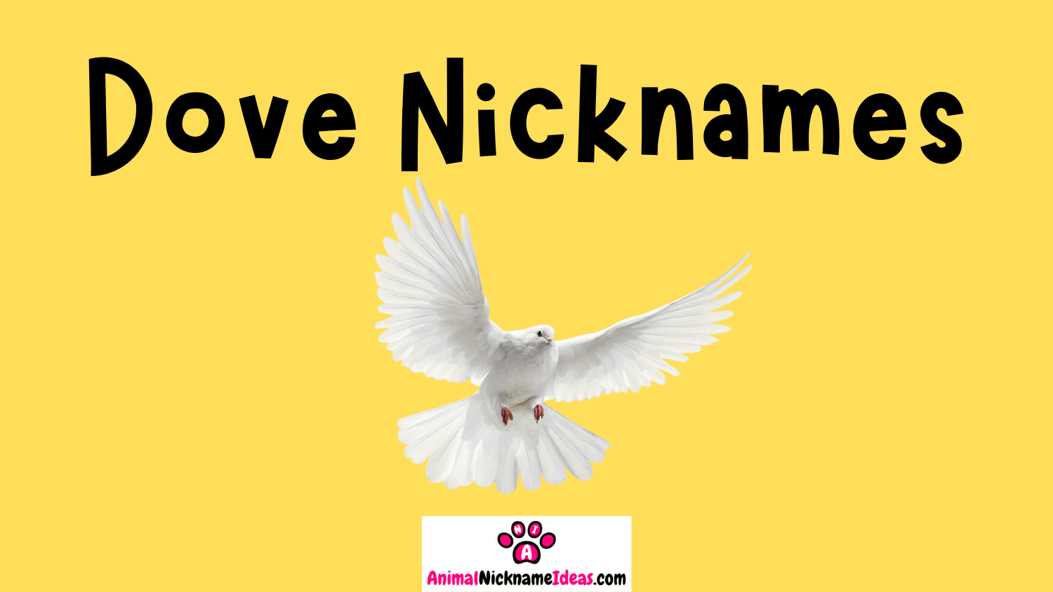 Read more about the article 589 Dove Nicknames