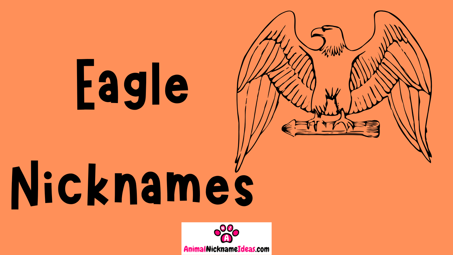 You are currently viewing 459 Eagle Nicknames