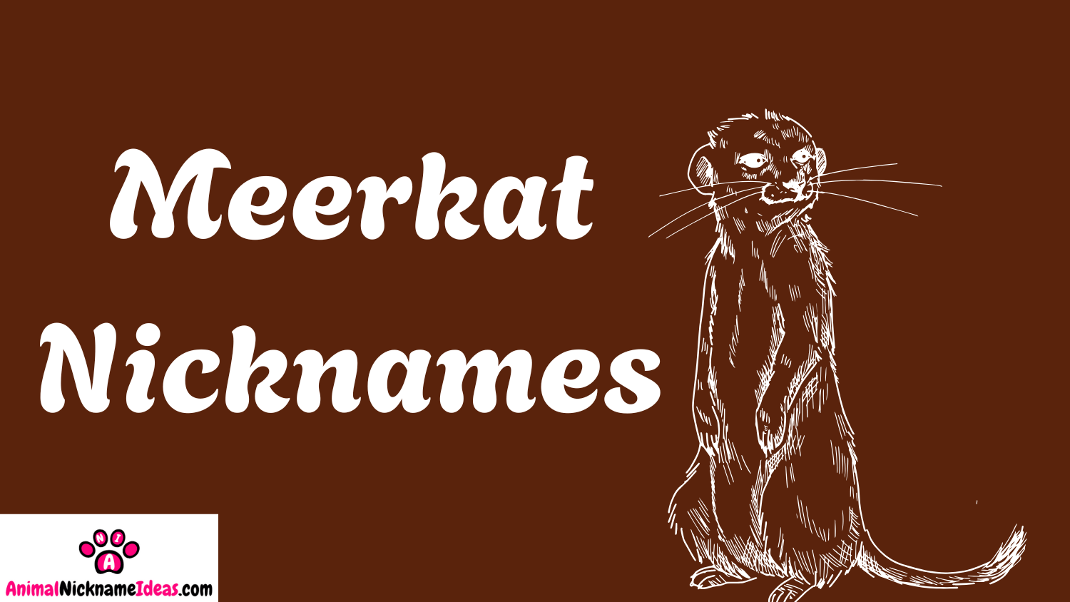 Read more about the article 363 Meerkat Nicknames
