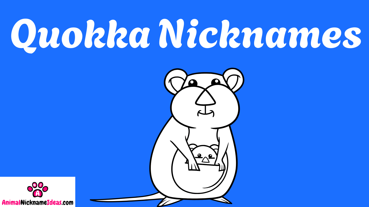 Read more about the article 341 Quokka Nicknames