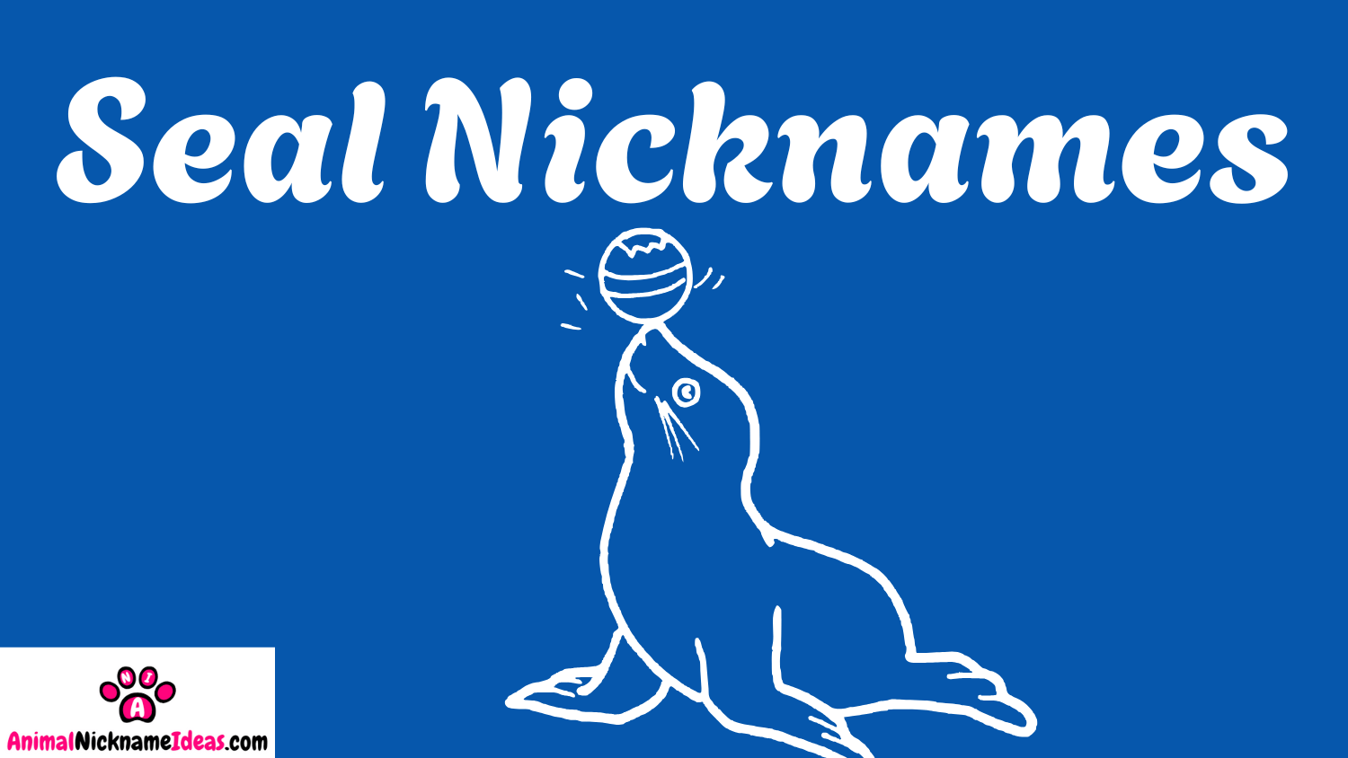 Read more about the article 448 Seal Nicknames