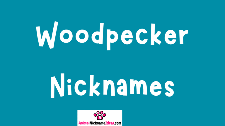 Read more about the article 429 Woodpecker Nicknames