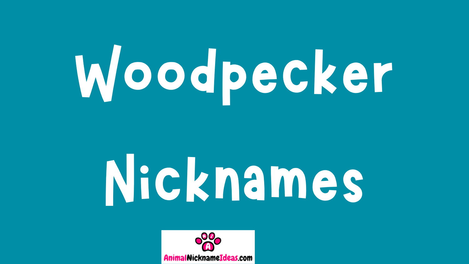 You are currently viewing 429 Woodpecker Nicknames