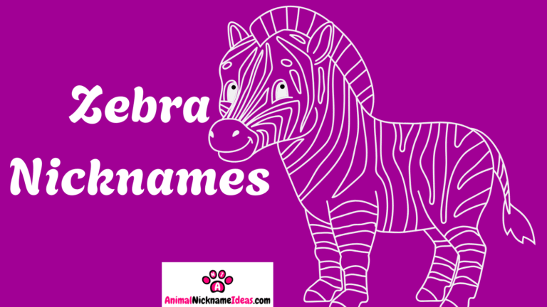 Read more about the article 403 Zebra Nicknames